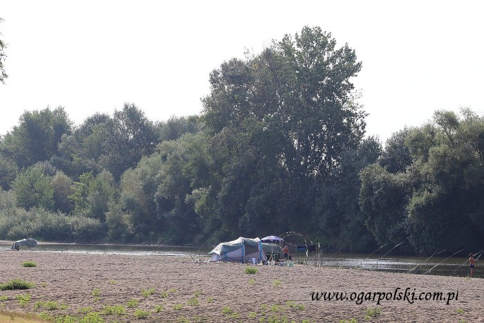 Biwak nasz nad rzeką Samosz.
